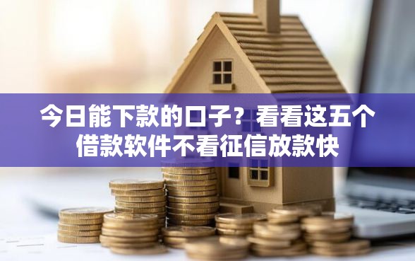今日能下款的口子？看看这五个借款软件不看征信放款快