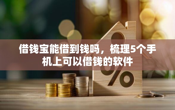 借钱宝能借到钱吗，梳理5个手机上可以借钱的软件