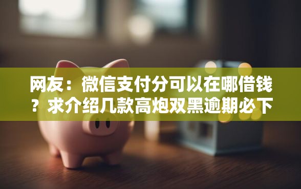 网友：微信支付分可以在哪借钱？求介绍几款高炮双黑逾期必下款平台