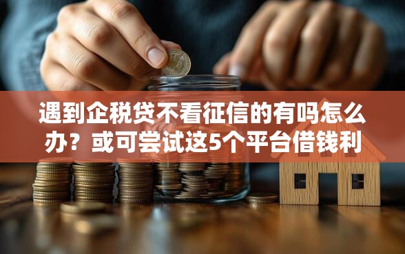 遇到企税贷不看征信的有吗怎么办？或可尝试这5个平台借钱利息最低