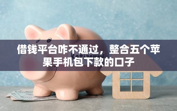 借钱平台咋不通过，整合五个苹果手机包下款的口子