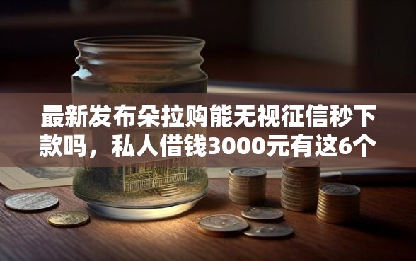 最新发布朵拉购能无视征信秒下款吗，私人借钱3000元有这6个渠道