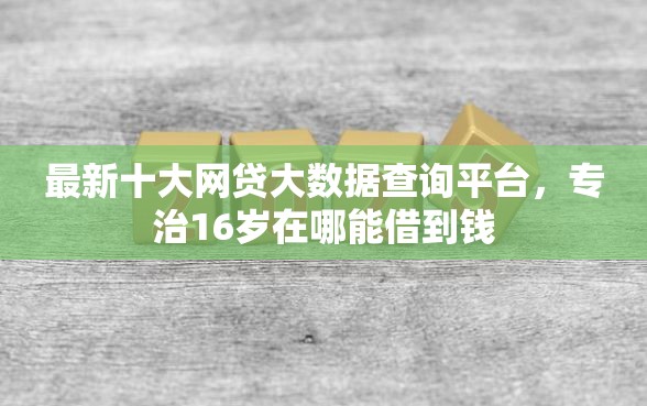 最新十大网贷大数据查询平台，专治16岁在哪能借到钱