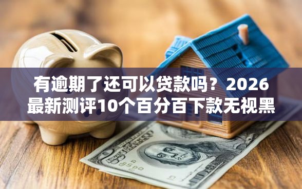 有逾期了还可以贷款吗？2026最新测评10个百分百下款无视黑白户网贷