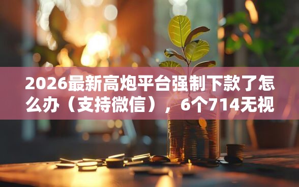 2026最新高炮平台强制下款了怎么办（支持微信），6个714无视逾期秒下的平台无私分享