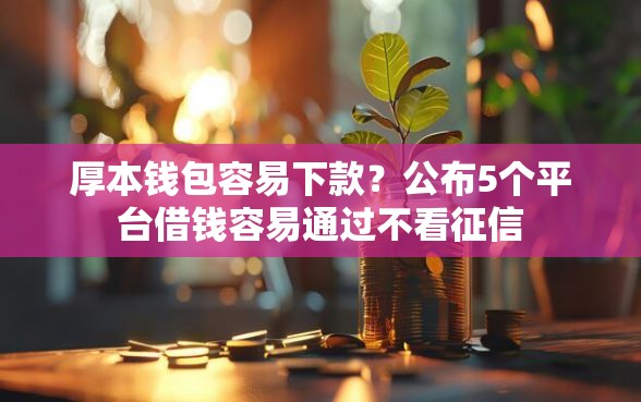 厚本钱包容易下款？公布5个平台借钱容易通过不看征信