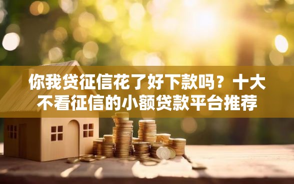 你我贷征信花了好下款吗？十大不看征信的小额贷款平台推荐