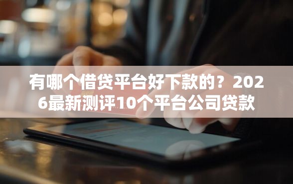 有哪个借贷平台好下款的？2026最新测评10个平台公司贷款