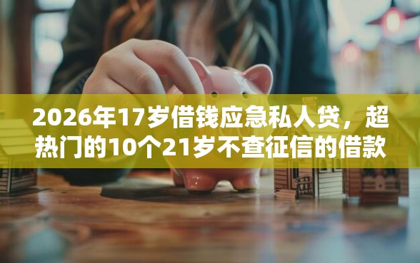 2026年17岁借钱应急私人贷，超热门的10个21岁不查征信的借款平台百分百通过推荐