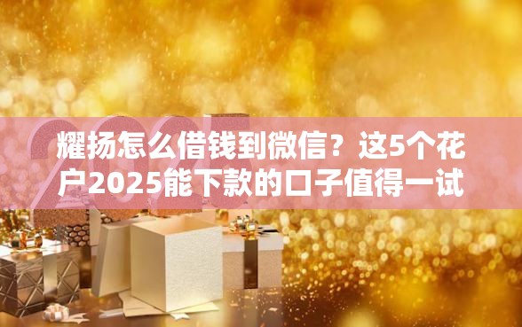 耀扬怎么借钱到微信？这5个花户2025能下款的口子值得一试