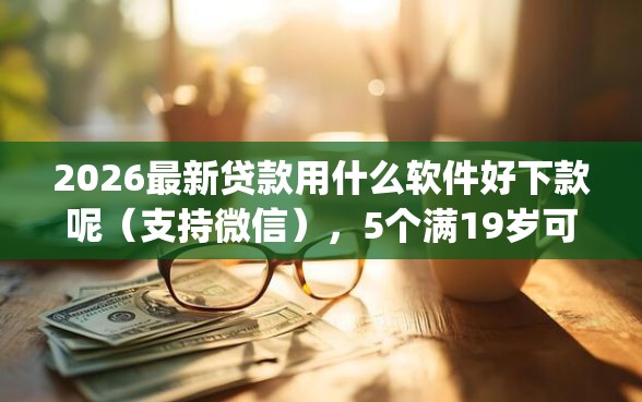 2026最新贷款用什么软件好下款呢（支持微信），5个满19岁可以借款的app无私分享