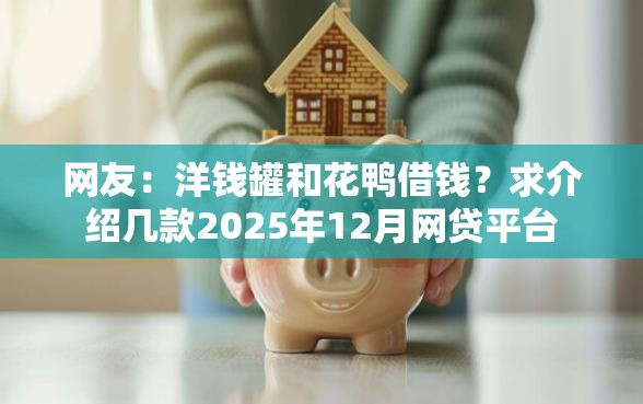 网友：洋钱罐和花鸭借钱？求介绍几款2025年12月网贷平台