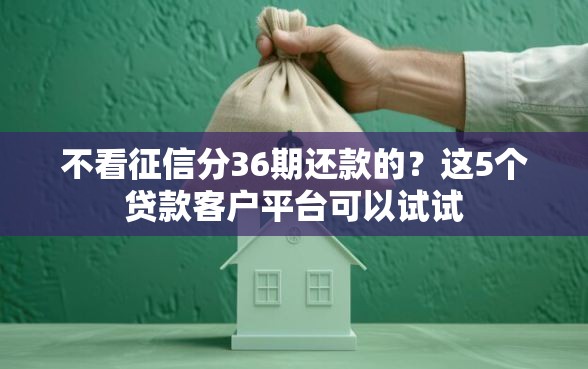 不看征信分36期还款的？这5个贷款客户平台可以试试