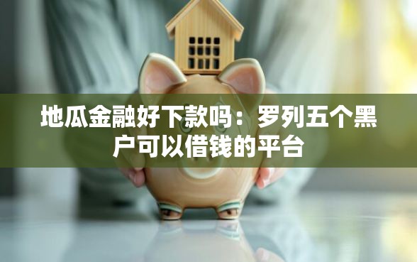 地瓜金融好下款吗：罗列五个黑户可以借钱的平台