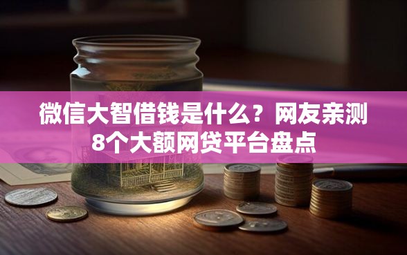微信大智借钱是什么？网友亲测8个大额网贷平台盘点