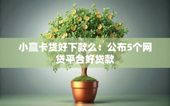 小赢卡货好下款么：公布5个网贷平台好贷款