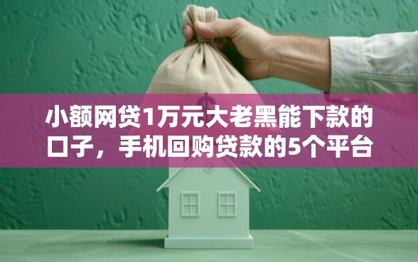 小额网贷1万元大老黑能下款的口子，手机回购贷款的5个平台介绍