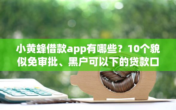 小黄蜂借款app有哪些？10个貌似免审批、黑户可以下的贷款口子合集