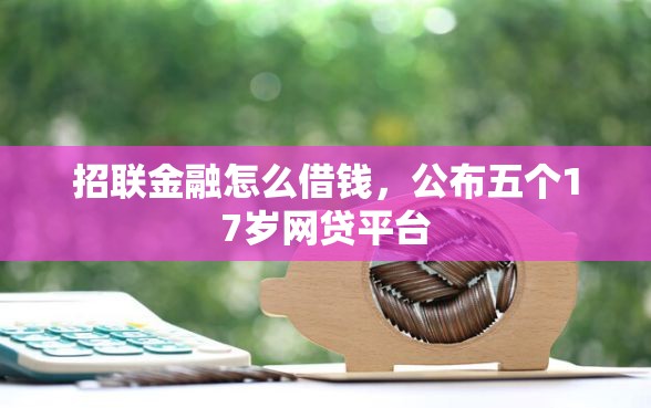 招联金融怎么借钱，公布五个17岁网贷平台