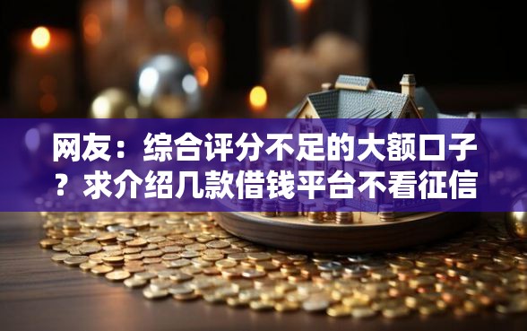 网友：综合评分不足的大额口子？求介绍几款借钱平台不看征信容易通过的口子