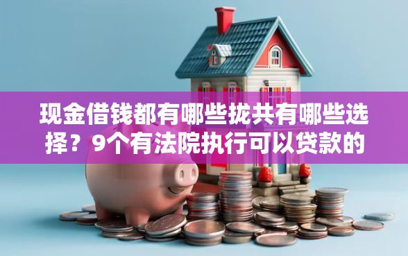 现金借钱都有哪些拢共有哪些选择？9个有法院执行可以贷款的口子详解