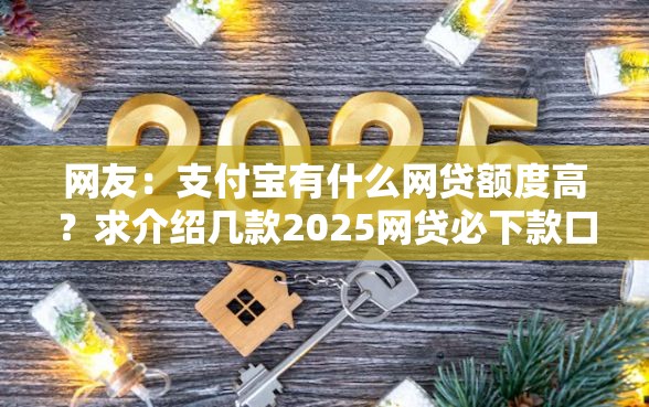 网友：支付宝有什么网贷额度高？求介绍几款2025网贷必下款口子