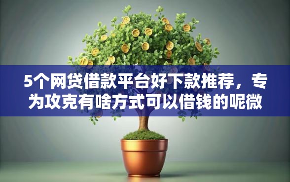 5个网贷借款平台好下款推荐，专为攻克有啥方式可以借钱的呢微信难题