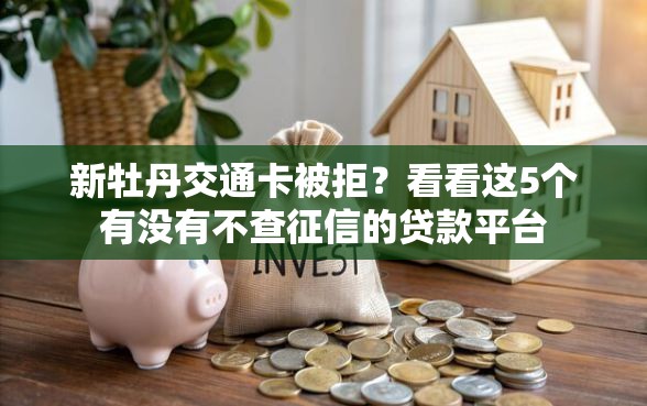 新牡丹交通卡被拒？看看这5个有没有不查征信的贷款平台