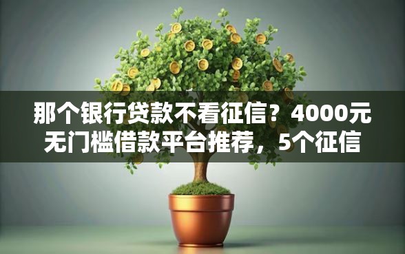 那个银行贷款不看征信？4000元无门槛借款平台推荐，5个征信花借款平台容易通过盘点