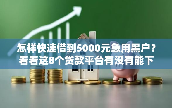 怎样快速借到5000元急用黑户？看看这8个贷款平台有没有能下款的