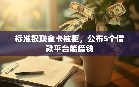 标准银联金卡被拒，公布5个借款平台能借钱