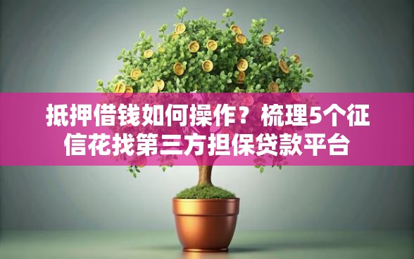 抵押借钱如何操作？梳理5个征信花找第三方担保贷款平台