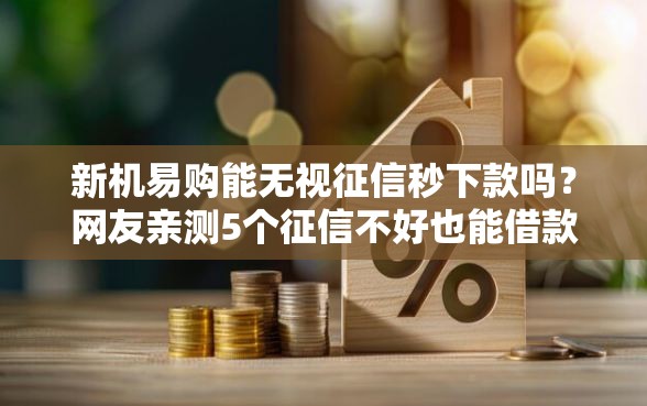 新机易购能无视征信秒下款吗？网友亲测5个征信不好也能借款的平台盘点