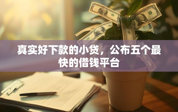 真实好下款的小贷，公布五个最快的借钱平台