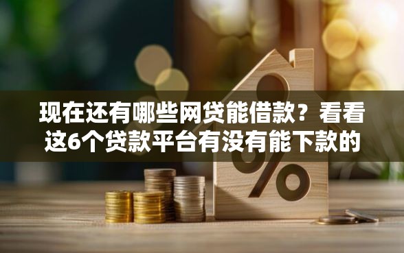 现在还有哪些网贷能借款？看看这6个贷款平台有没有能下款的
