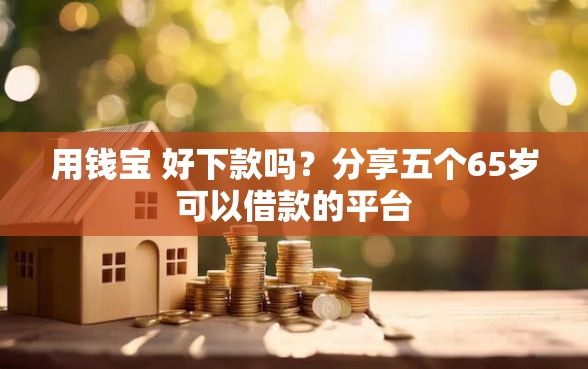 用钱宝 好下款吗？分享五个65岁可以借款的平台