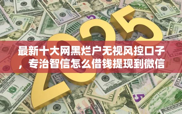 最新十大网黑烂户无视风控口子，专治智信怎么借钱提现到微信
