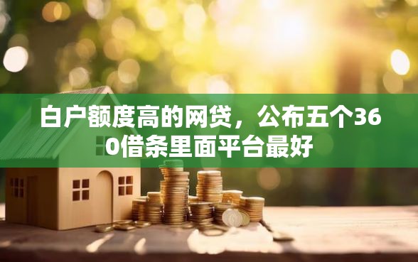 白户额度高的网贷，公布五个360借条里面平台最好