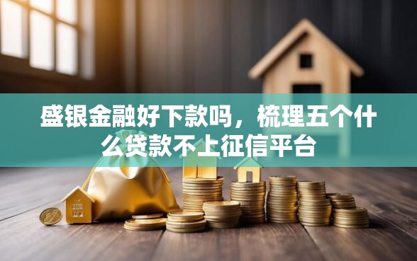 盛银金融好下款吗，梳理五个什么贷款不上征信平台