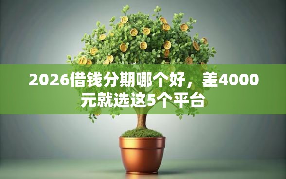 2026借钱分期哪个好，差4000元就选这5个平台