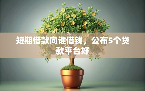 短期借款向谁借钱，公布5个贷款平台好