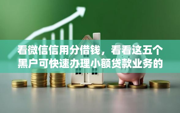 看微信信用分借钱，看看这五个黑户可快速办理小额贷款业务的app