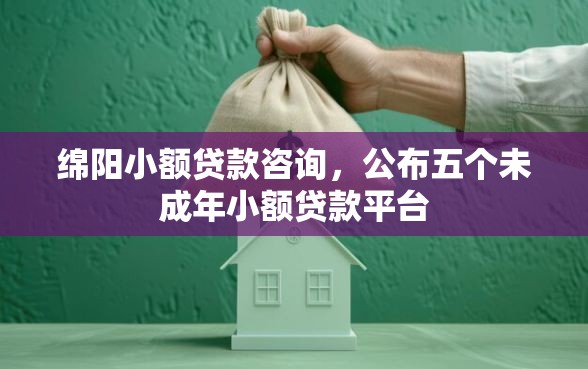 绵阳小额贷款咨询，公布五个未成年小额贷款平台