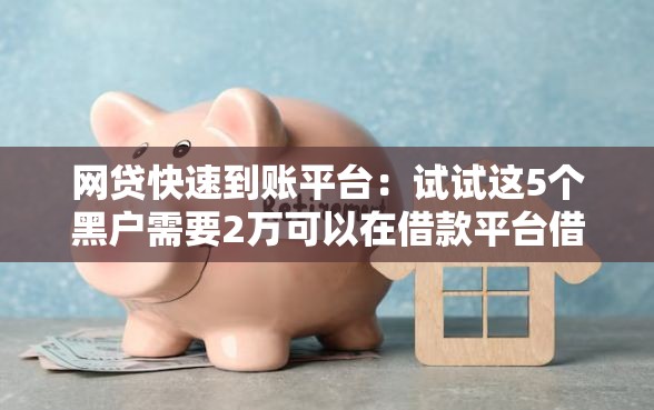 网贷快速到账平台：试试这5个黑户需要2万可以在借款平台借款
