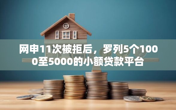 网申11次被拒后，罗列5个1000至5000的小额贷款平台