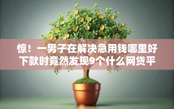 惊！一男子在解决急用钱哪里好下款时竟然发现9个什么网贷平台正规，事后分享了出来