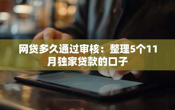 网贷多久通过审核：整理5个11月独家贷款的口子