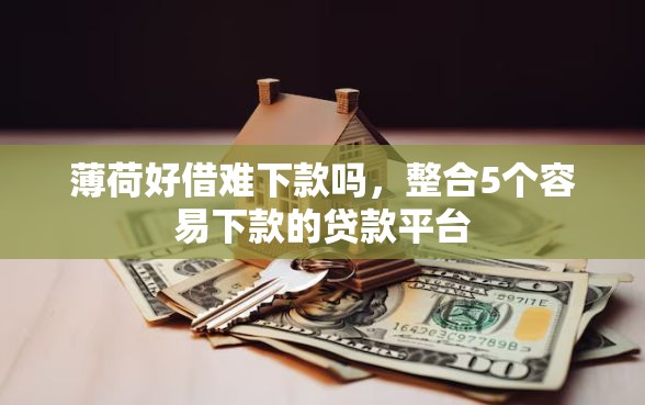薄荷好借难下款吗，整合5个容易下款的贷款平台