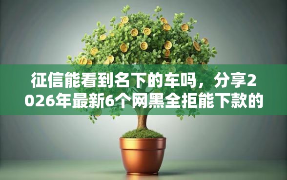 征信能看到名下的车吗，分享2026年最新6个网黑全拒能下款的口子