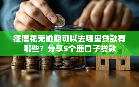 征信花无逾期可以去哪里贷款有哪些？分享5个鹿口子贷款